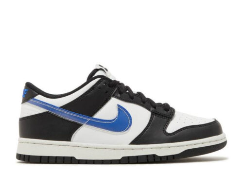Nike Dunk Low Next Nature TPU Swoosh (GS) FD0689-001